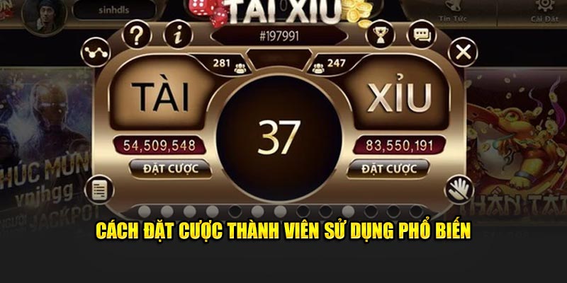 Cách đặt cược thành viên sử dụng phổ biến