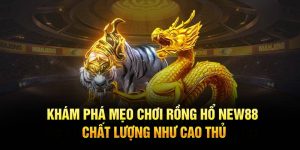Khám Phá Mẹo Chơi Rồng Hổ New88 Chất Lượng Như Cao Thủ